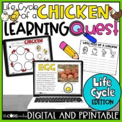 Life Cycle of a Chicken for Kids - The Core Coaches