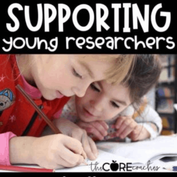 How to Support Young Researchers