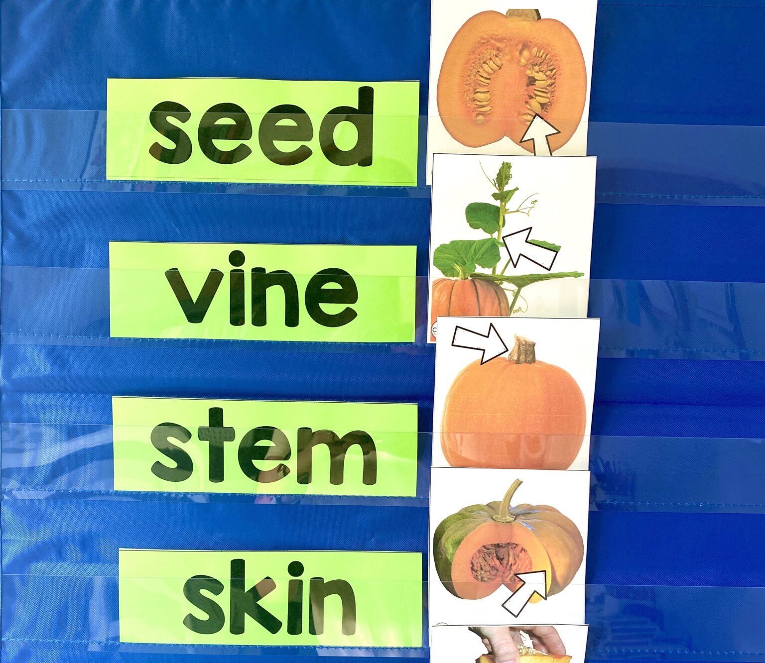 5-preschool-pumpkin-activities